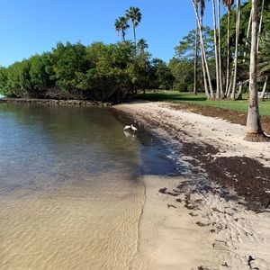 Meet your Posher, Heidi